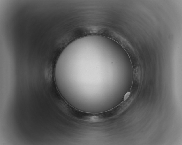 X0000102530509200808151558