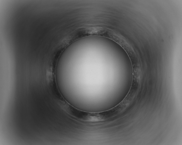 X0000102530510200808151558