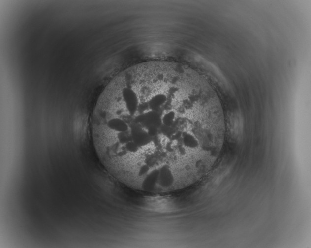 X0000102530511200808151558