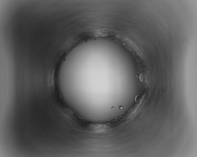 X0000102530512200808151558