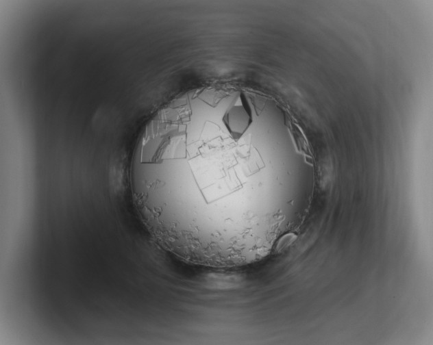 X0000102530515200808151558