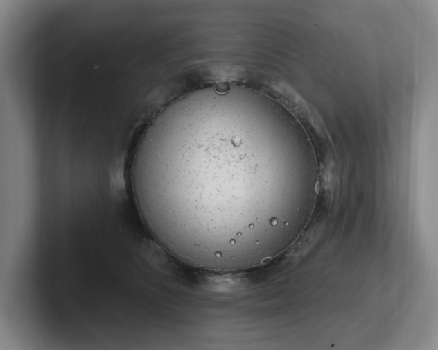 X0000102530516200808151558