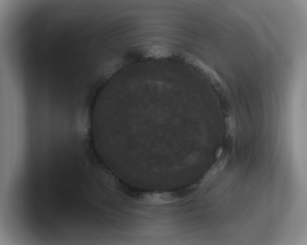 X0000102530517200808151558