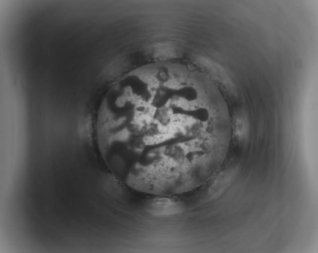 X0000102530519200808151558