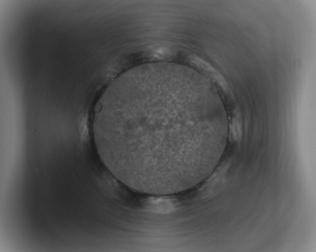 X0000102530520200808151558