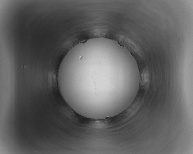 X0000102530522200808151558