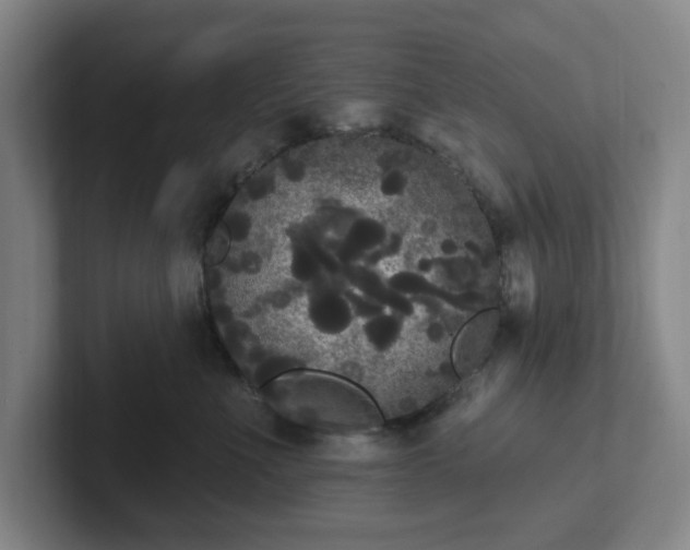 X0000102530523200808151558