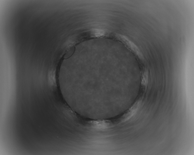 X0000102530524200808151558