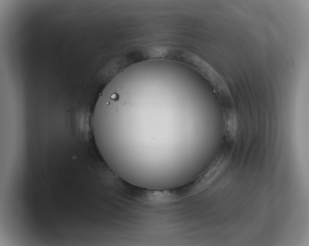 X0000102530525200808151558