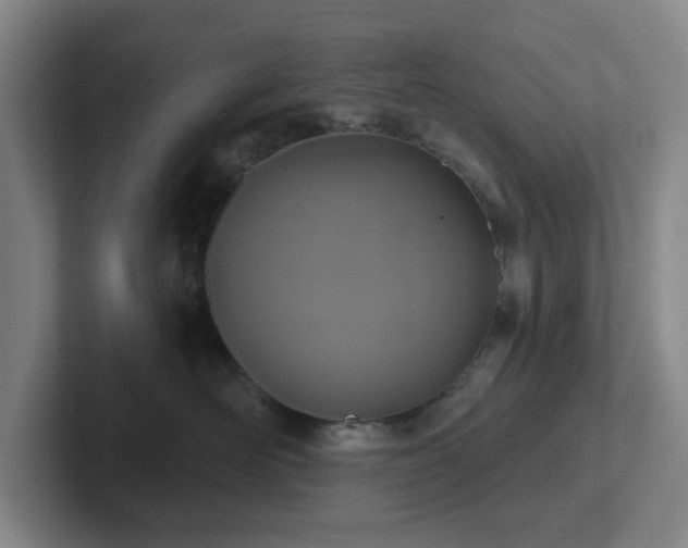 X0000102530526200808151558