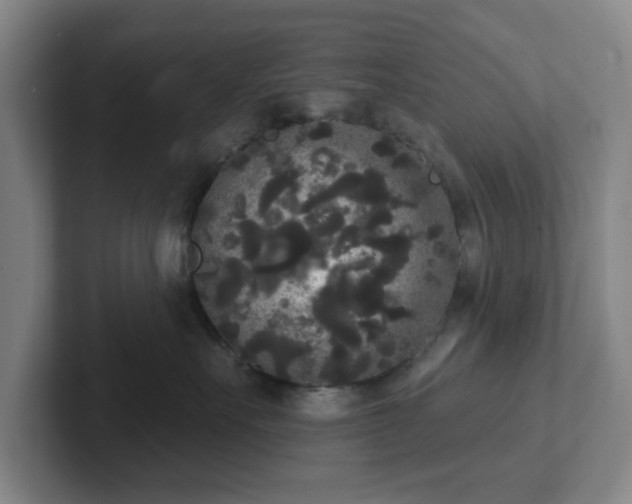 X0000102530527200808151558