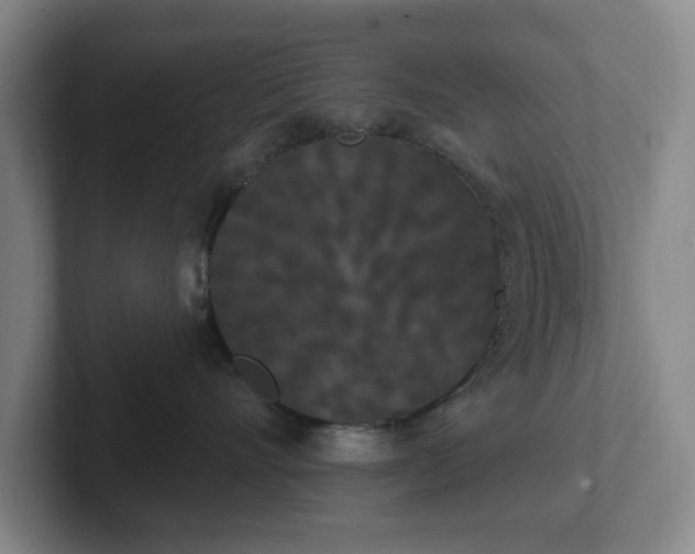 X0000102530528200808151558