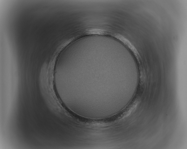 X0000102530529200808151557