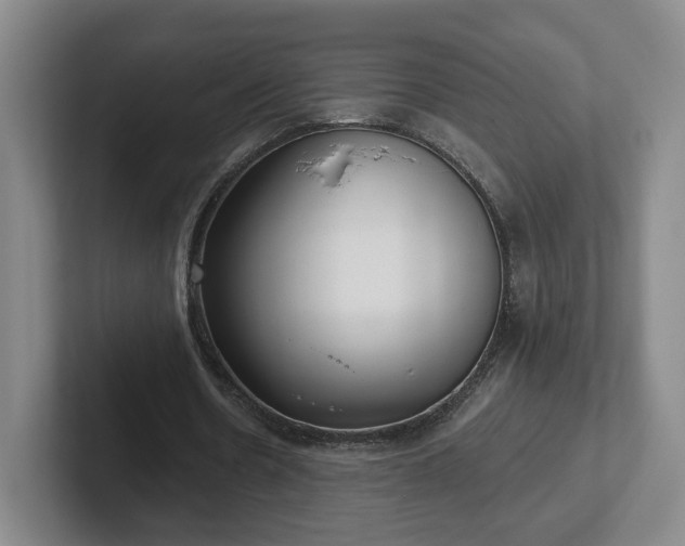 X0000102530530200808151557