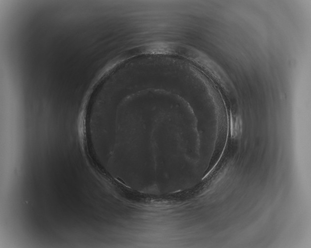 X0000102530531200808151557