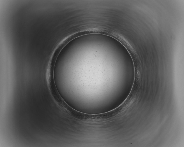 X0000102530532200808151557