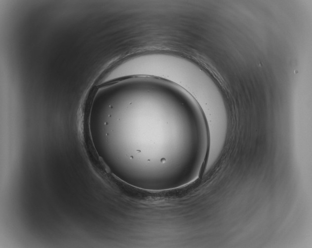 X0000102530534200808151557