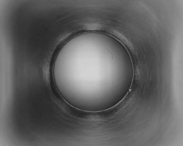 X0000102530535200808151557