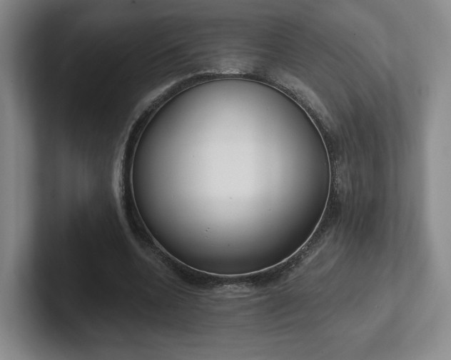 X0000102530536200808151557