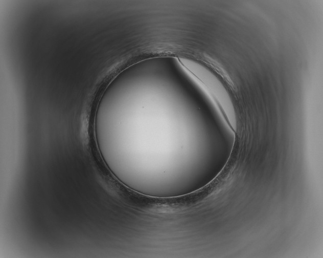 X0000102530538200808151557