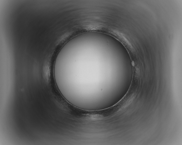 X0000102530539200808151557