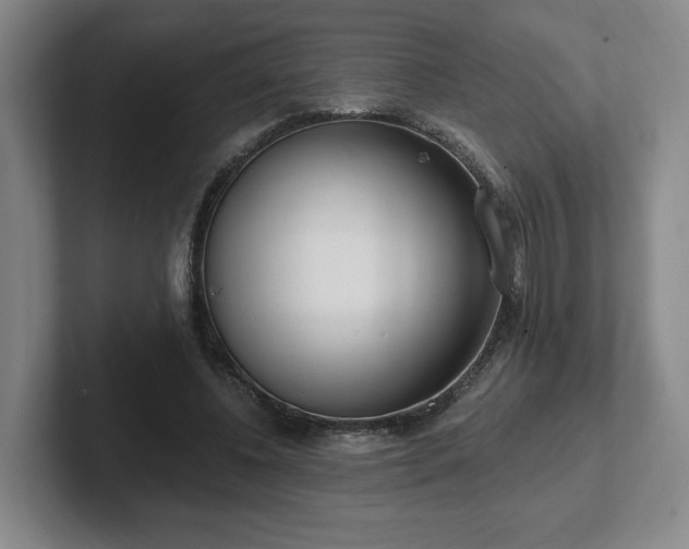 X0000102530540200808151557