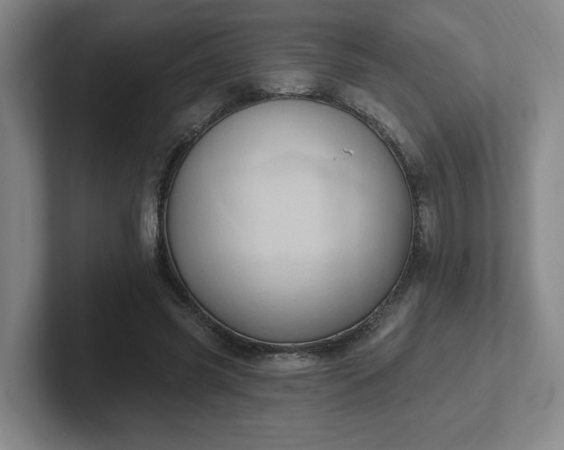 X0000102530541200808151557