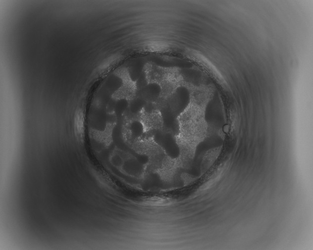 X0000102530542200808151557