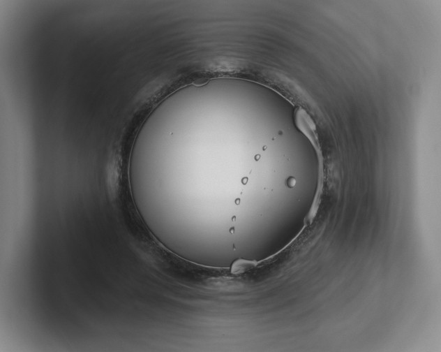 X0000102530544200808151557