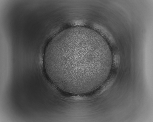 X0000102530545200808151557