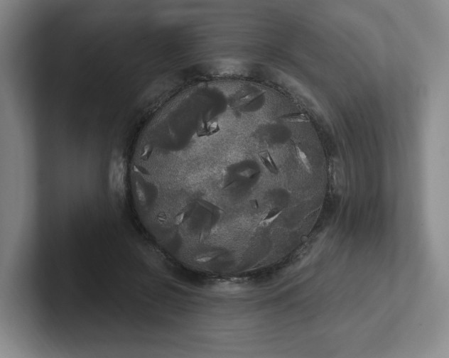 X0000102530550200808151558