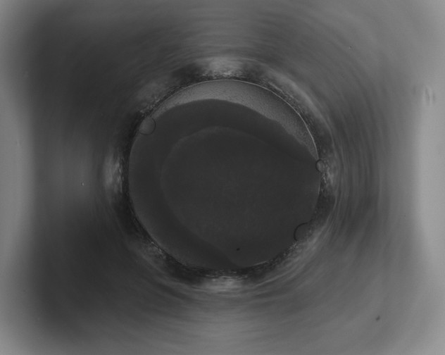 X0000102530551200808151558