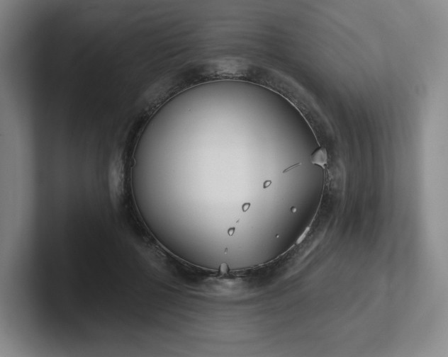 X0000102530552200808151558