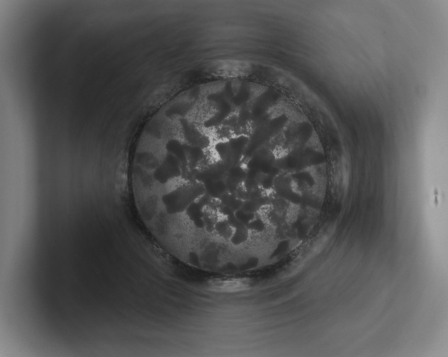 X0000102530553200808151558