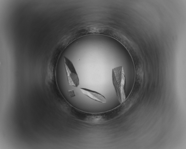 X0000102530554200808151558
