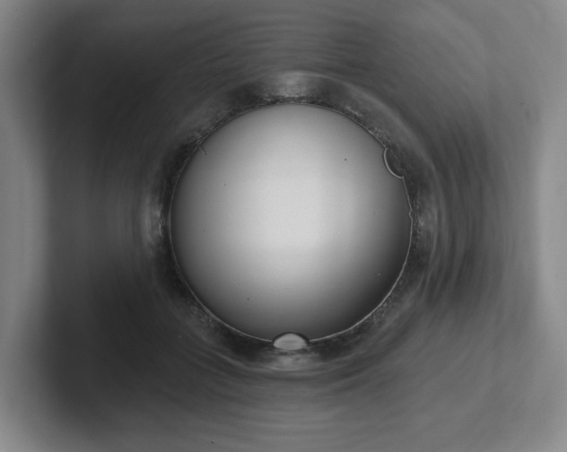 X0000102530555200808151558