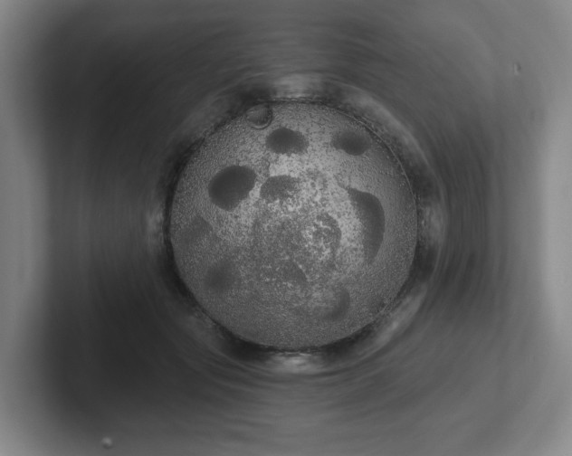 X0000102530557200808151558