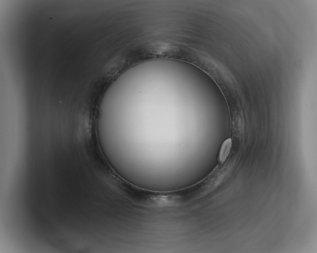 X0000102530558200808151558