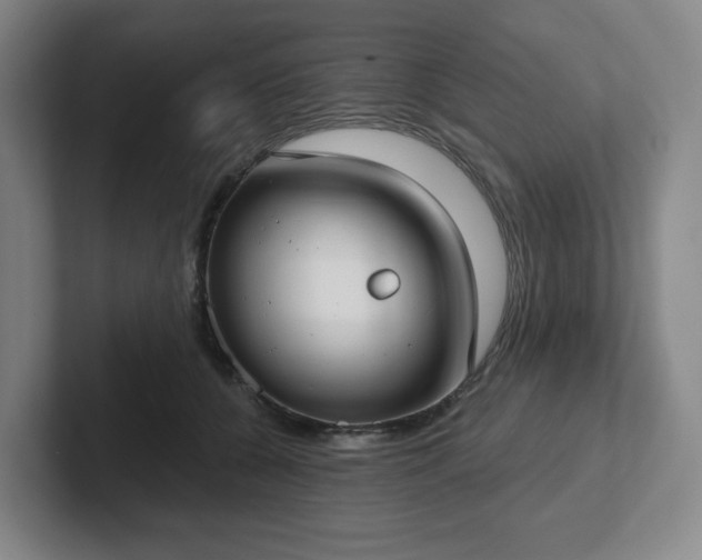 X0000102530560200808151558