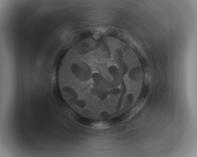 X0000102530561200808151558