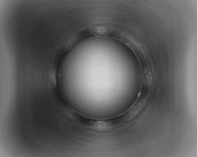 X0000102530562200808151558