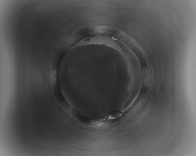 X0000102530563200808151558