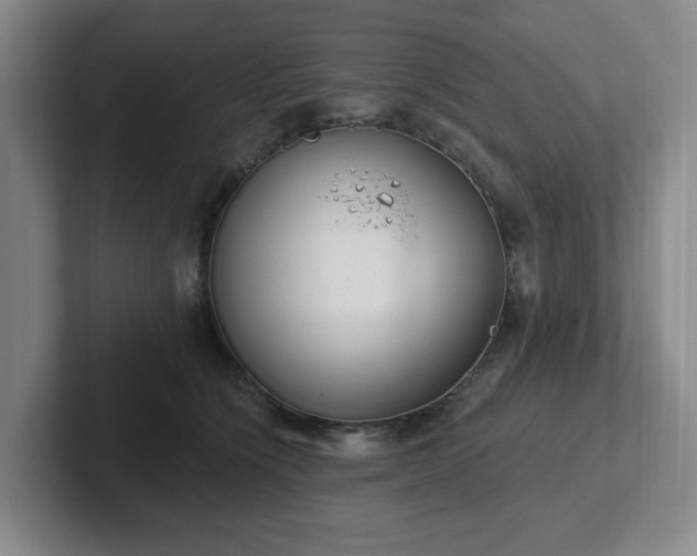 X0000102530564200808151558