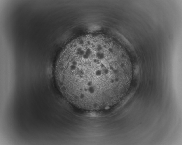 X0000102530565200808151558