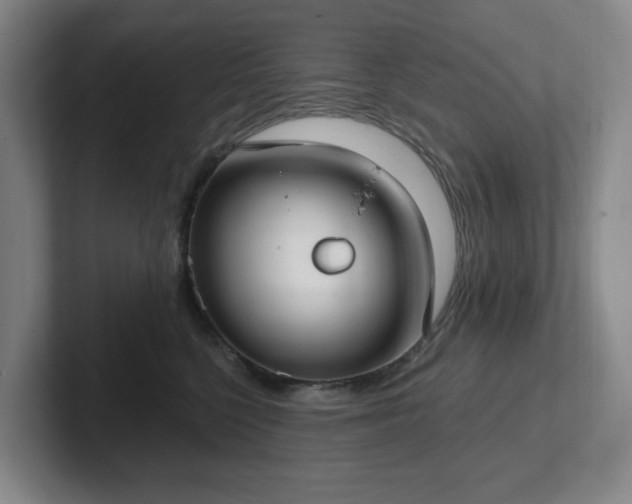 X0000102530568200808151558