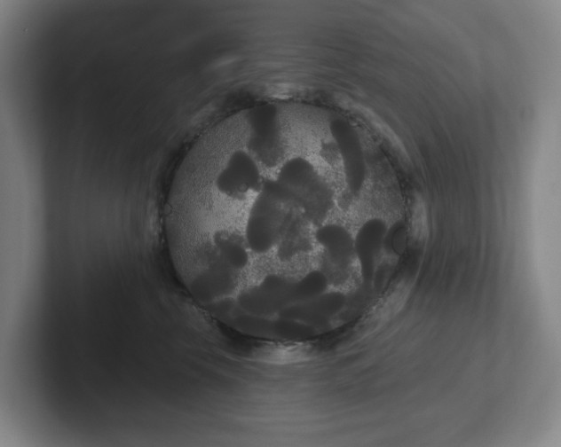 X0000102530569200808151558