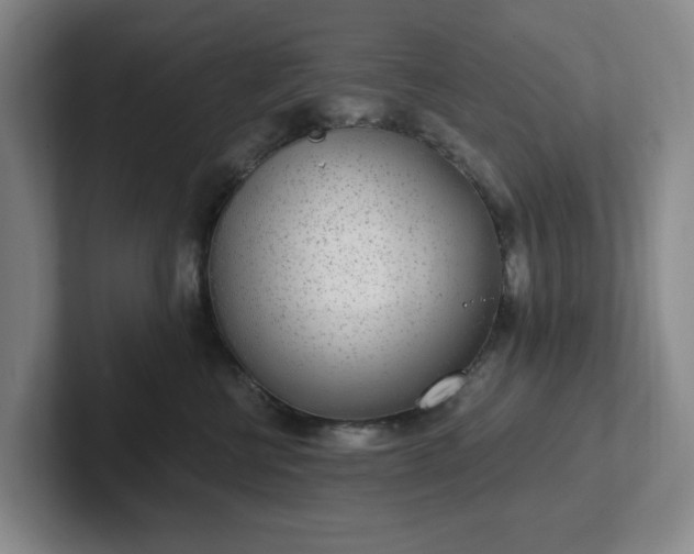 X0000102530570200808151558