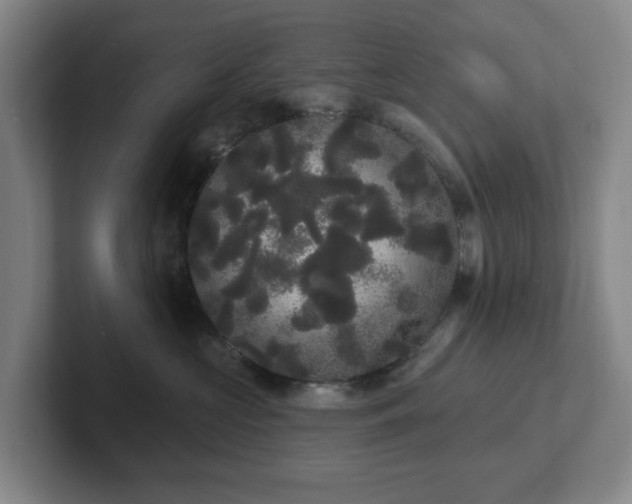 X0000102530573200808151558