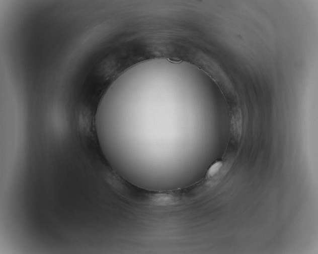 X0000102530574200808151558