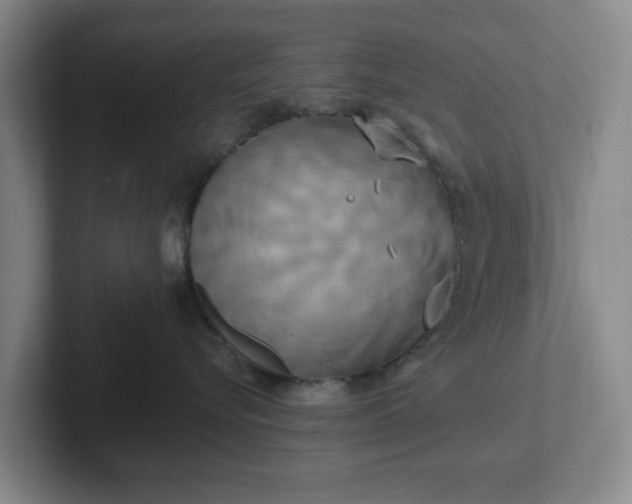 X0000102530576200808151558